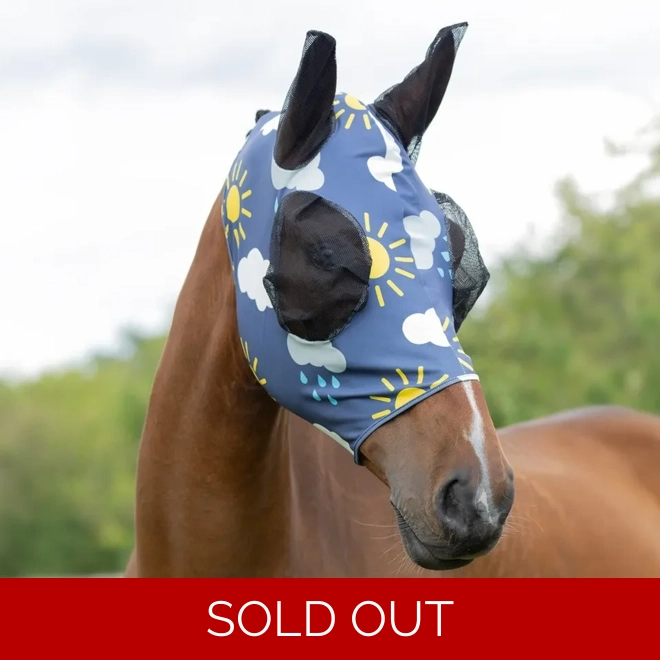 product Image for Hy Equestrian Lycra Come Rain or Shine Print Fly Mask